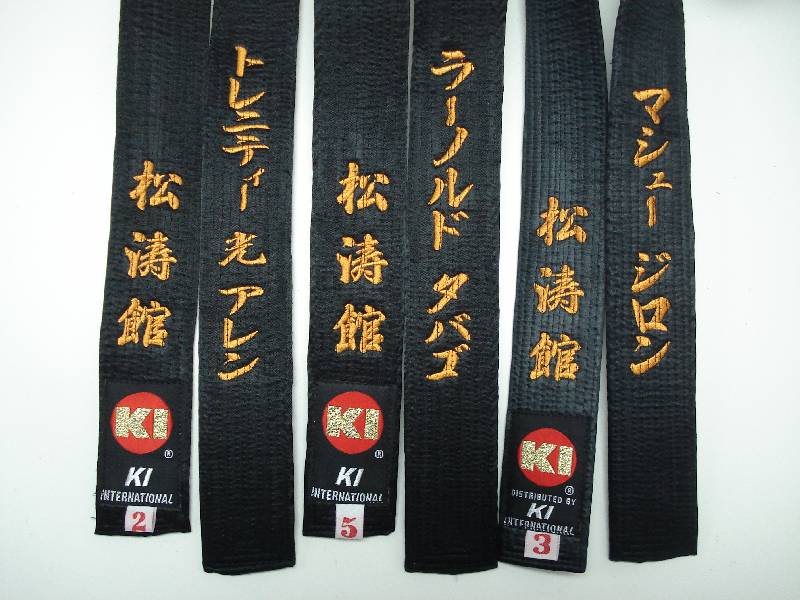 TOPTIE Custom Embroidered Karate Belt, Martial Arts TaeKwonDo Judo