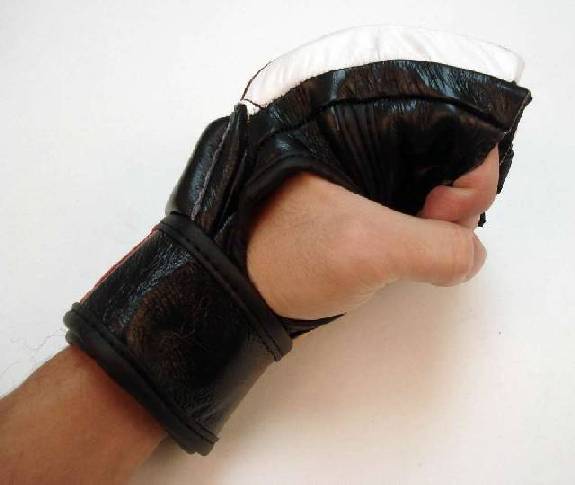 Mixed Martial Arts Gloves (Black)