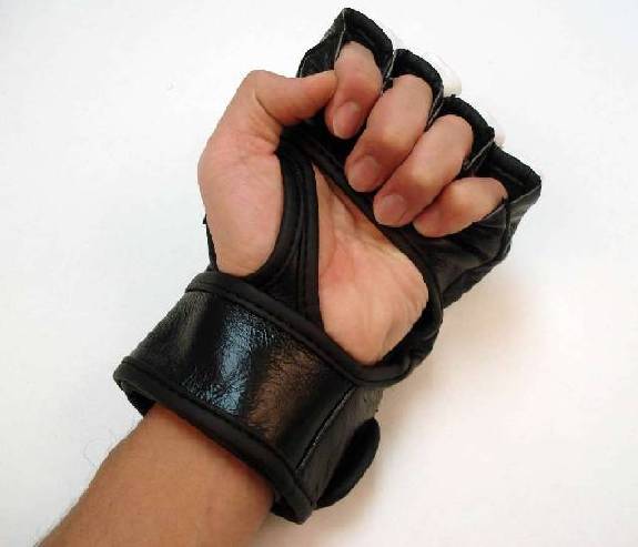 Mixed Martial Arts Gloves (Black)