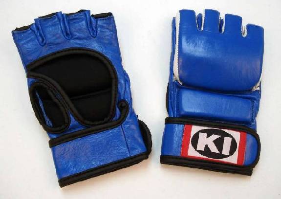 Mixed Martial Arts Gloves (Blue)