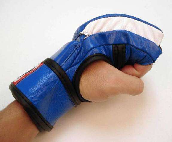 Mixed Martial Arts Gloves (Blue)