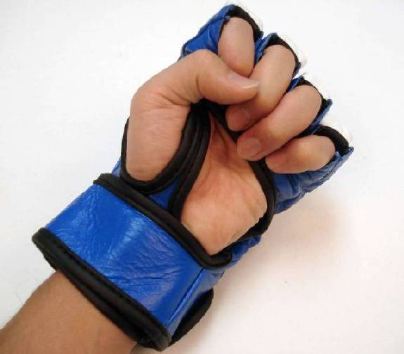 Mixed Martial Arts Gloves (Blue)