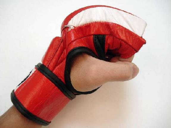 Mixed Martial Arts Gloves (Red)