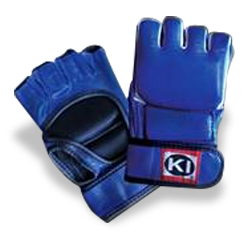 Mixed Martial Arts Gloves (Blue)