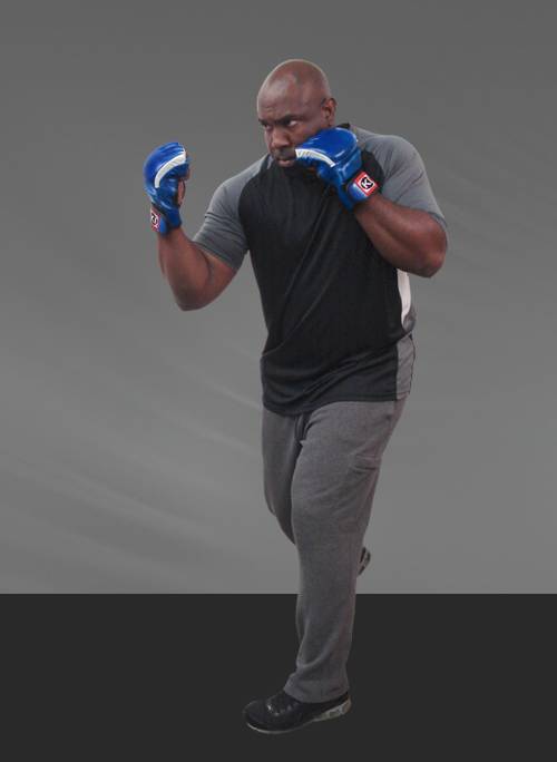 Mixed Martial Arts Gloves (Blue)