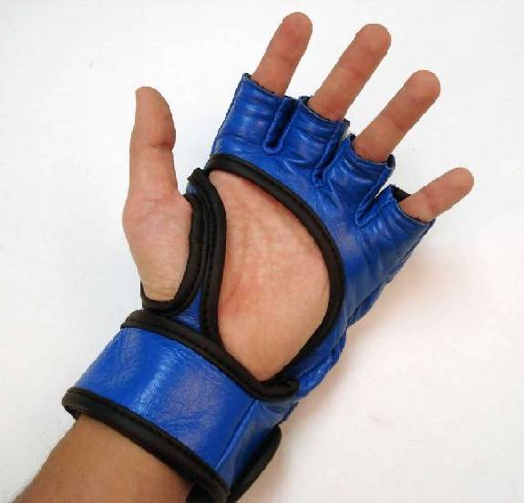 Mixed Martial Arts Gloves (Blue)